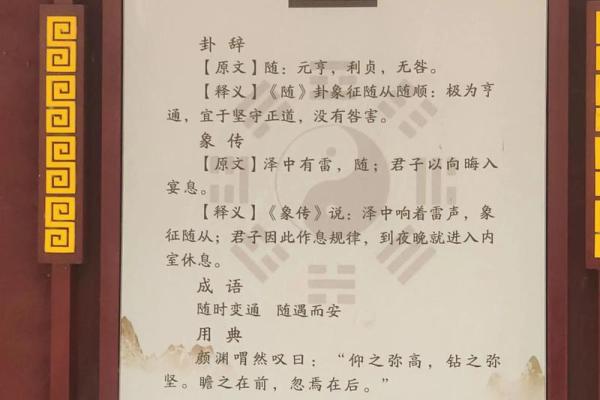 命卦与变卦的神秘世界：解读卦象背后的深层含义