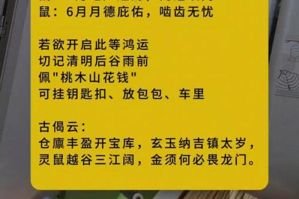 属相鼠的人命运解析：鼠年生人的奥秘与机遇