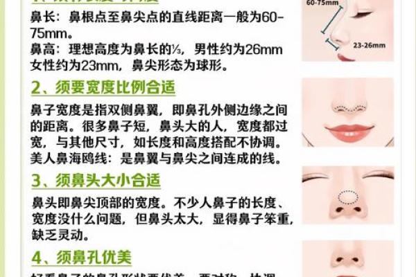 鼻子山根高的命运与性格解析