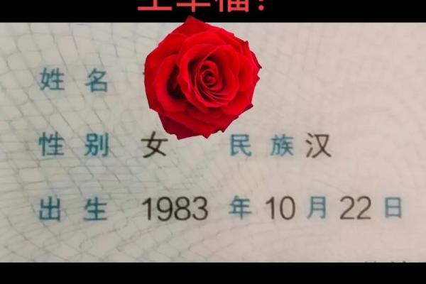 71年属猪的命运与未来:探寻生活中的幸福之道 71年属猪的命运与未来:探寻生活中的幸福之道