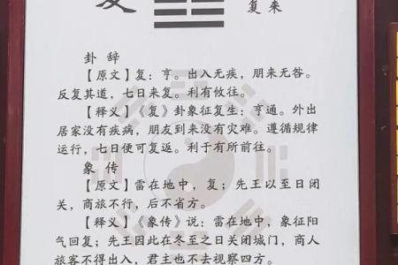 命卦与变卦的神秘世界：解读卦象背后的深层含义