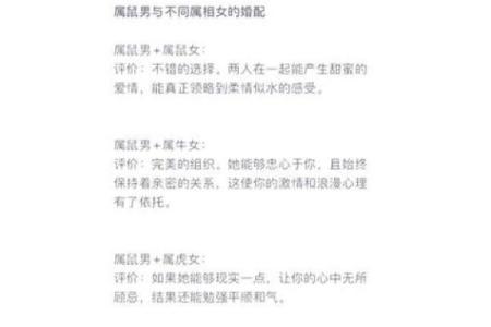 属相鼠的人命运解析：鼠年生人的奥秘与机遇