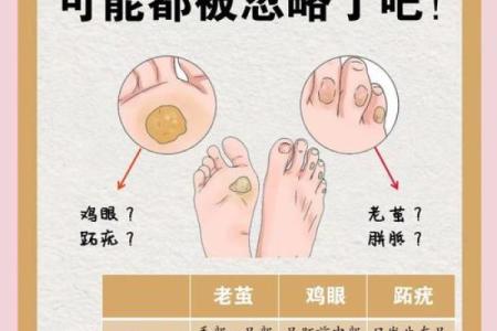 脚的形状与命运的秘密：从脚看人生的各个侧面