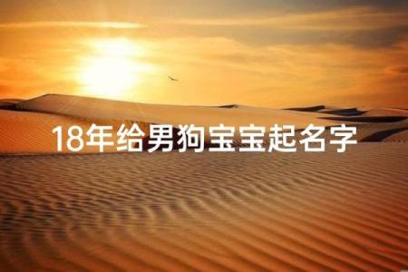 探秘2018年属狗男宝宝的命运与未来发展之路