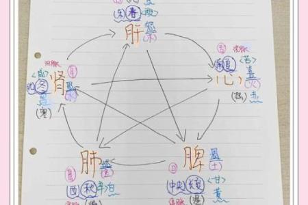 阴土命与阳土命的区别：探秘命理学的奥秘与魅力