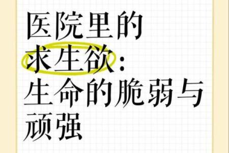 孩子还命：为何我们应关注儿童生命的珍贵与脆弱