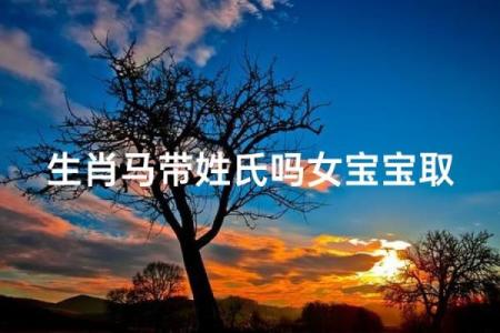 解析2014年8月出生马年宝宝的命运与性格特点