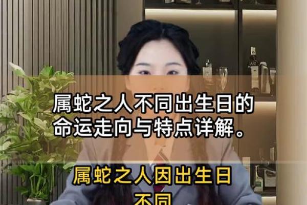 2003年出生属蛇的人：命运与个性解析！