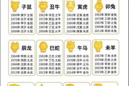 2020年出生的宝宝命中缺什么？揭秘五行八字的奥秘！