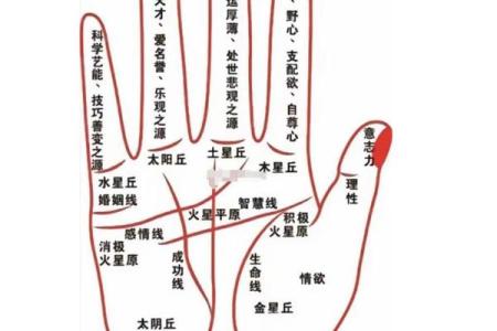 揭开掌纹之谜：探寻状元命格的秘密
