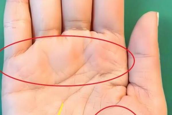 手掌特别大的人,有着怎样的命运与特质? 手掌特别大的人,有着怎样的命运与特质?