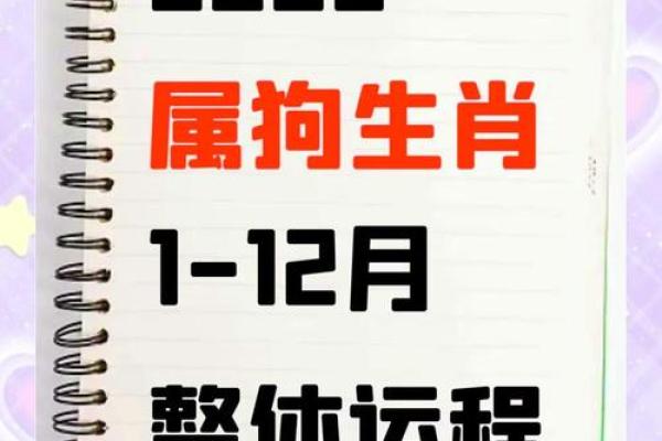 1982年属狗人生:命运与个性的深度解析 1982年属狗人生:命运与个性的深度解析