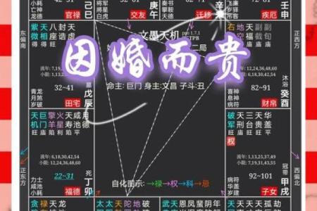 揭秘命盘主星组合的奥秘：星辰之间的神秘联系与人生轨迹