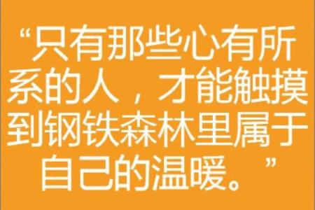 心有所系，命有所归：热议“根据什么命操什么心”的深意