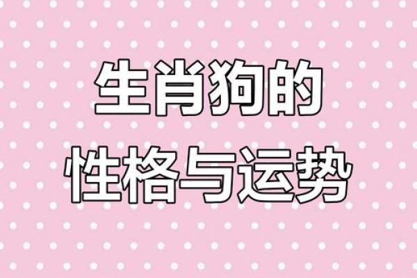 揭秘70年狗人的命运：缺什么生肖才幸福