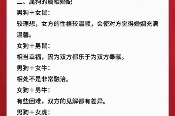 揭秘70年狗人的命运：缺什么生肖才幸福