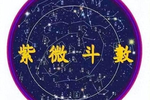 命盘双星组合的神秘力量与人生启示 命盘双星组合的神秘力量与人生启示