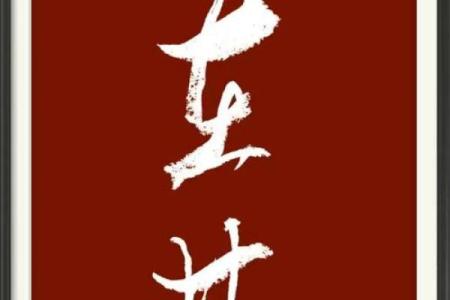 乐在其中，享受生活的每一刻