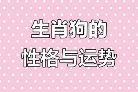 揭秘70年狗人的命运：缺什么生肖才幸福