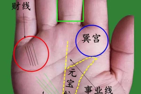 揭示手相中的婚姻隐患:那些最可能影响命运的女性手相特征 揭示手相中的婚姻隐患:那些最可能影响命运的女性手相特征