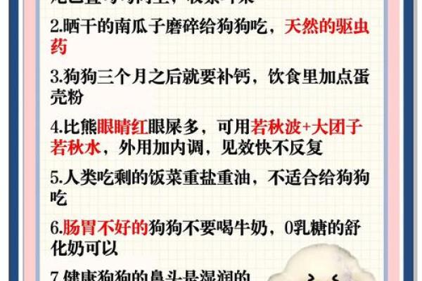 82属相狗的命运揭秘:如何掌握人生的幸福与成功 82属相狗的命运揭秘:如何掌握人生的幸福与成功