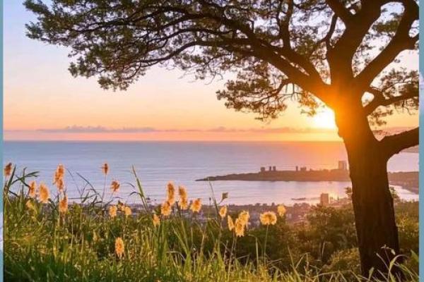 生活的命运:在逆境中成长的王者之路 生活的命运:在逆境中成长的王者之路