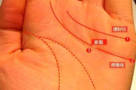 揭示手相中的婚姻隐患：那些最可能影响命运的女性手相特征