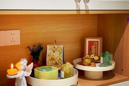 水鼠命人的居家风水布置推荐：提升运势的物件选择与摆放小技巧！