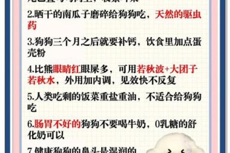 82属相狗的命运揭秘：如何掌握人生的幸福与成功