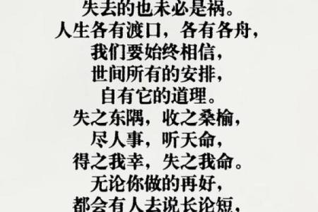 探寻“命哀”的深意：人生中的悲欢与哲理思考