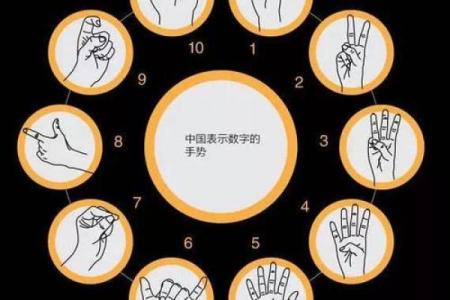 脚趾长相秘密：你未曾了解的命运与性格之间的联系