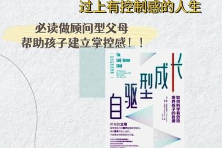 情绪的魔力：如何塑造属于你的人生之路