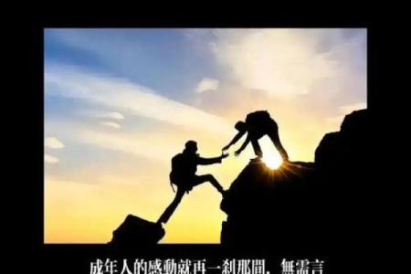 生活的命运：在逆境中成长的王者之路