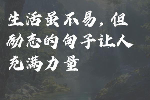 追逐内心的理想,创造无限可能的生活 追逐内心的理想,创造无限可能的生活