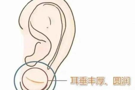 耳垂的形状与命运：探寻大厚耳垂所蕴含的命理秘密