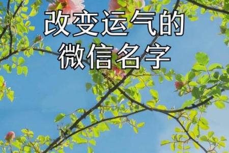 如何根据命理缺失选取最适合的名字，助你一生好运连连！