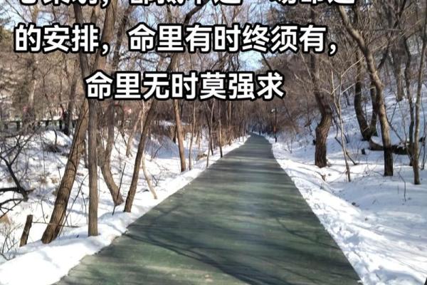 太阳落山时的命运:解读夕阳下的人生哲学 太阳落山时的命运:解读夕阳下的人生哲学