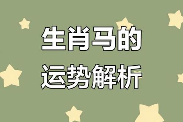 属马命人适合的颜色与风水运势解析 属马命人适合的颜色与风水运势解析