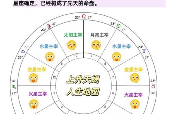 什么是命？性格如何影响我们的人生轨迹？