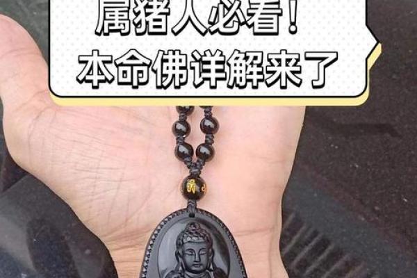 1994年属猪人的命运解析：性格、事业与爱情的全面剖析