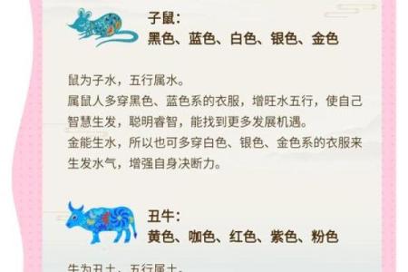 属马命人适合的颜色与风水运势解析