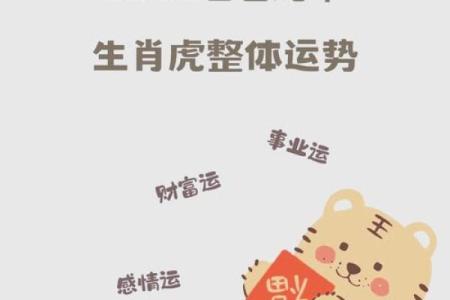 解密2022虎年：命理与风水的完美结合