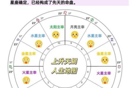 什么是命？性格如何影响我们的人生轨迹？