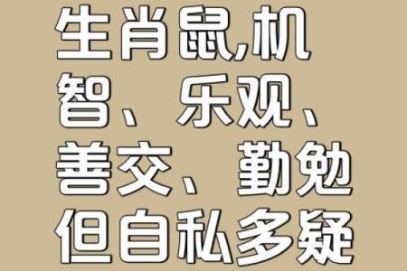 1996年属鼠：命运与属性的深度解析
