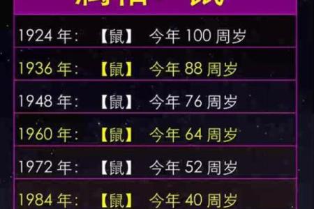 属相与文官之命：探索命运的奇妙关系