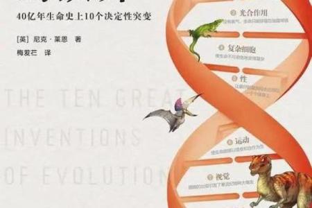 探秘1988年出生的大龙命运：从辰龙的独特特质到未来的辉煌之路