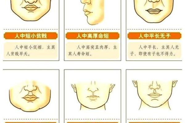 测试选帽子,你的未来命运将如何揭晓?揭秘心理学的奥秘! 测试选帽子,你的未来命运将如何揭晓?揭秘心理学的奥秘!