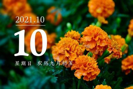 九月初五的命格解析：深度解读你的命运和未来之路