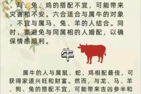 1983年：命中注定的猪年与命理的奇妙联系