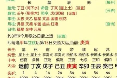 探索戊寅、甲寅、癸未、庚申八字命理的奥秘与人生启示